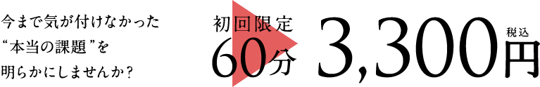初回限定60分3,300円